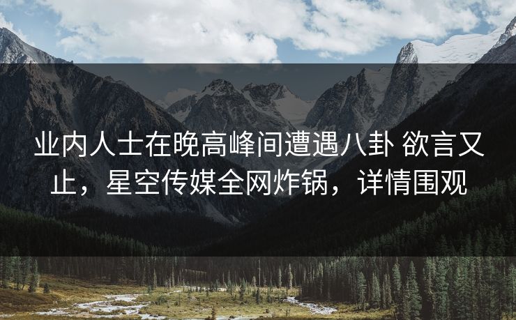 业内人士在晚高峰间遭遇八卦 欲言又止，星空传媒全网炸锅，详情围观