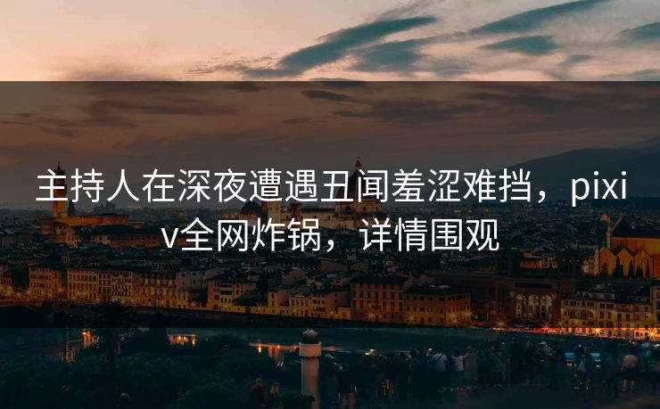 主持人在深夜遭遇丑闻羞涩难挡，pixiv全网炸锅，详情围观